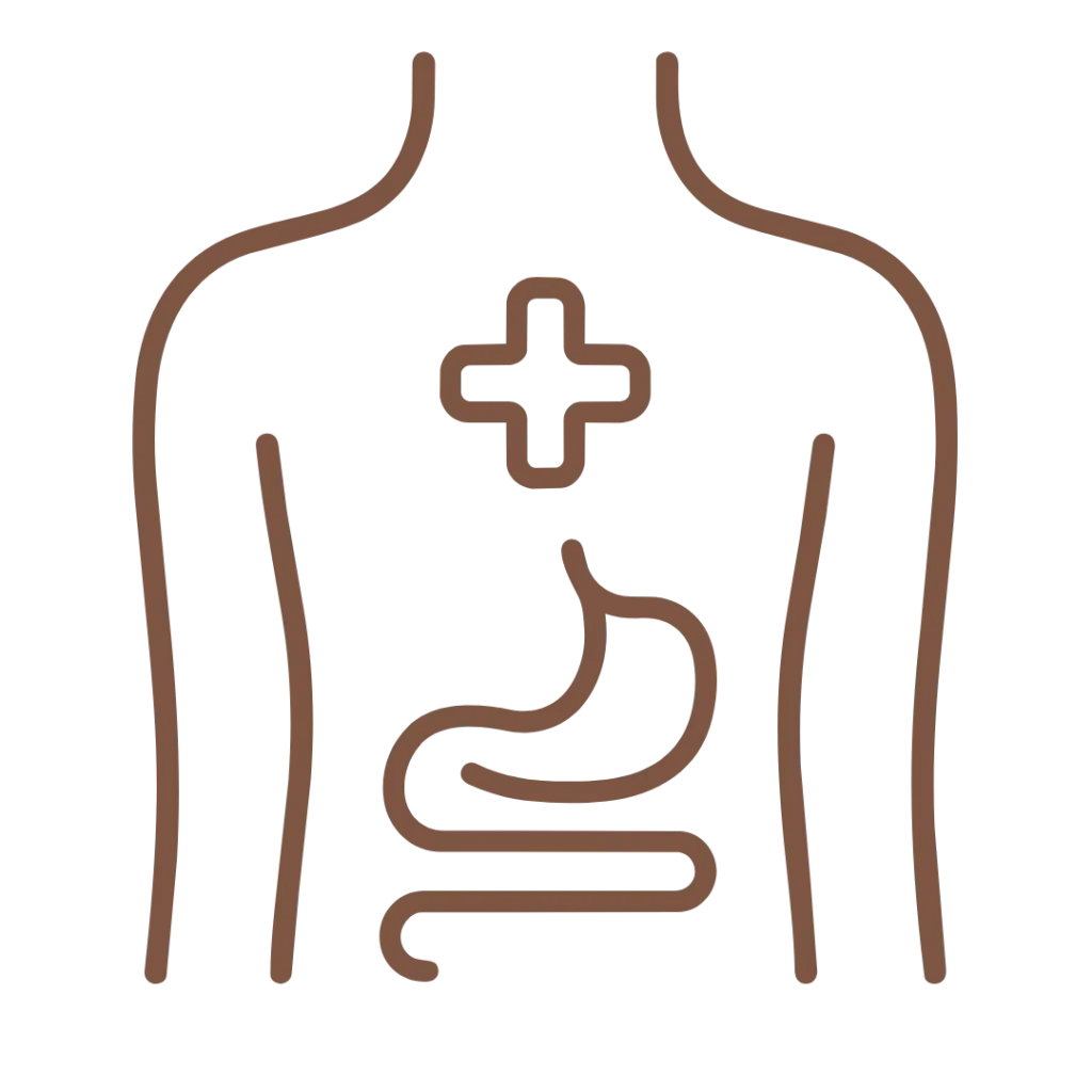 Medicina Interna A Bologna
