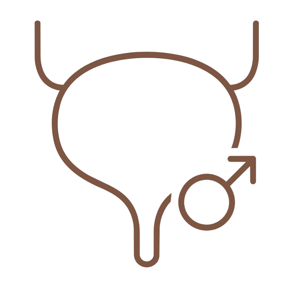 Urologo E Andrologo A Bologna